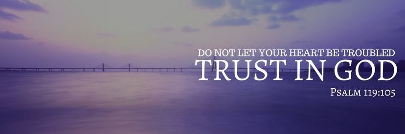 علي السقاف banner