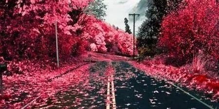 ali_leandro96's profile banner image