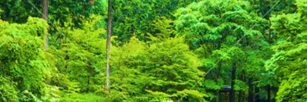 tooomore's profile banner image