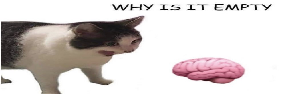 spinachconsumer's profile banner image