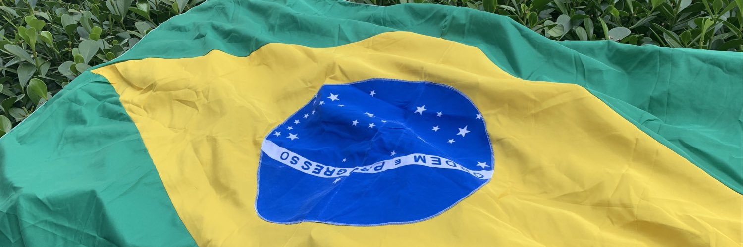 Meg🇧🇷🇧🇷 banner