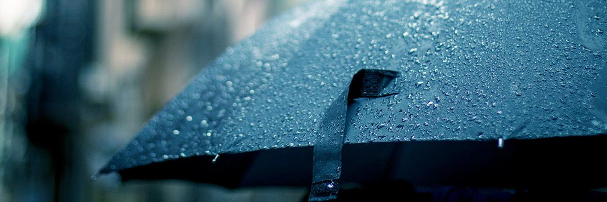 Velferdstinget Vest banner