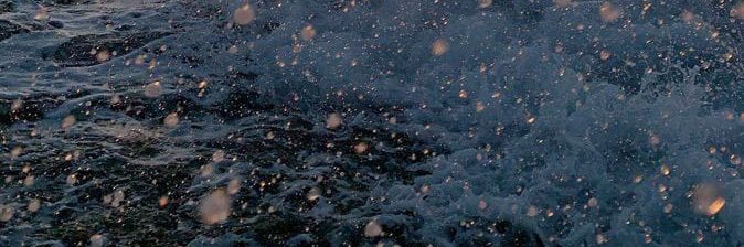 anitabiondo_'s profile banner image