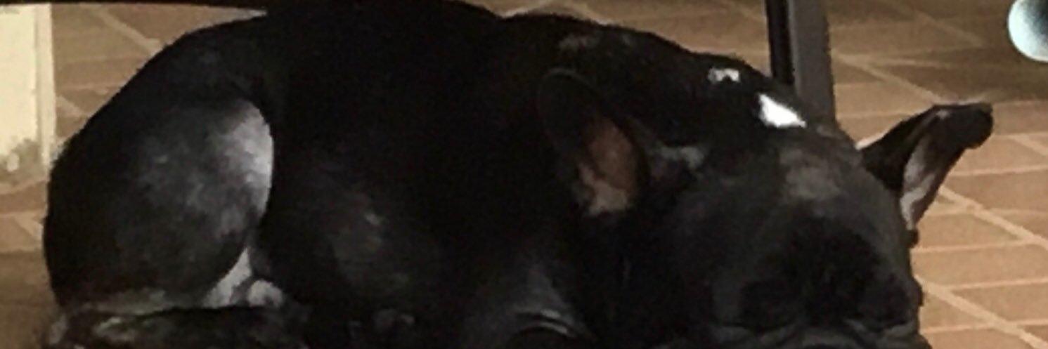 eddavega10's profile banner image
