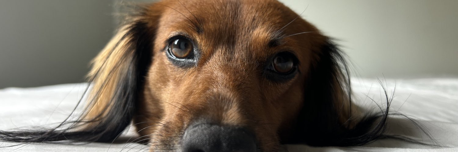 gdlpe___'s profile banner image