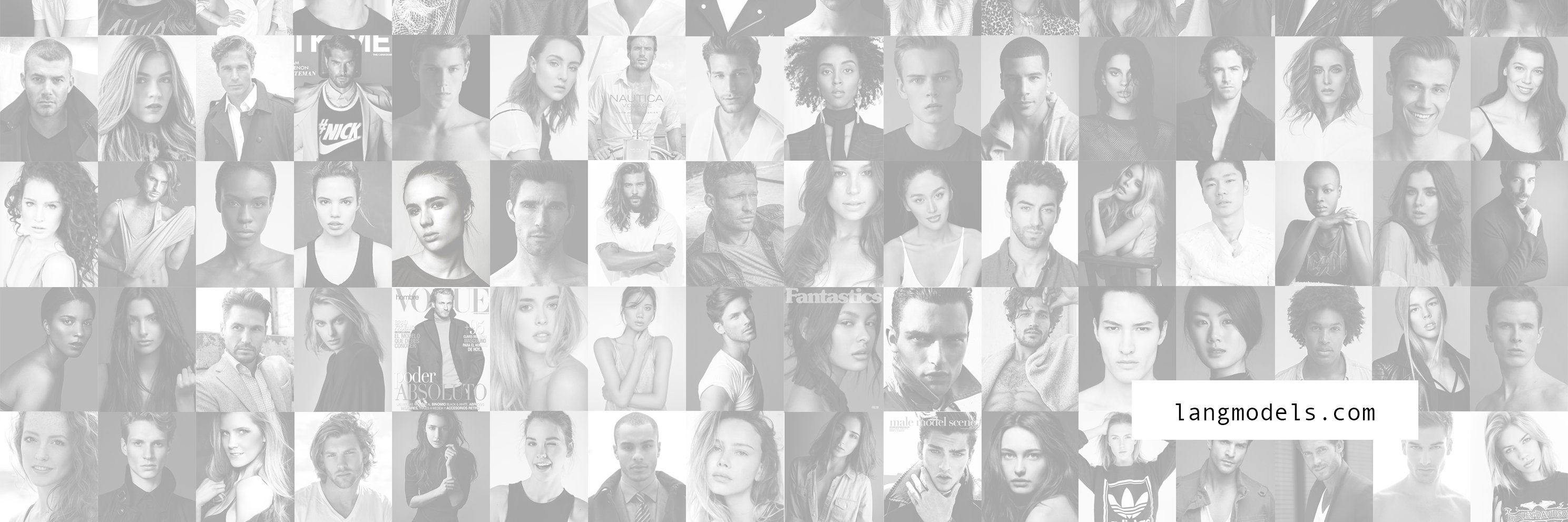LangModels's profile banner image