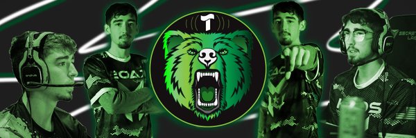 TGriz Profile Banner