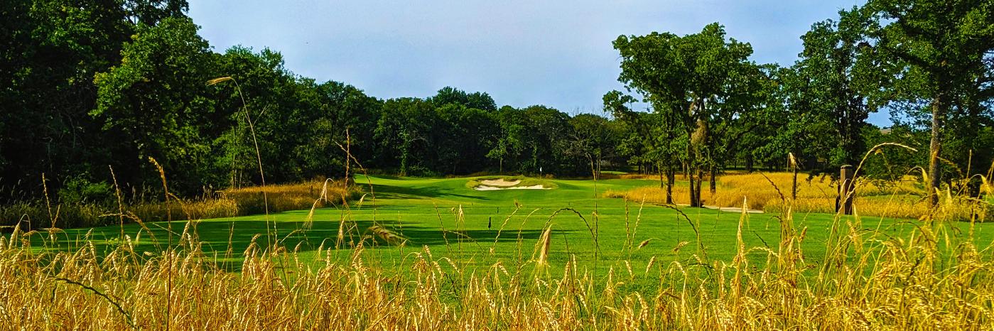 Colligan Golf Design banner