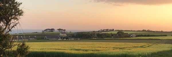 CornecMerlet Profile Banner