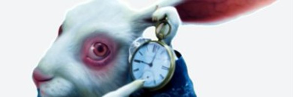 curiousrabbit66 Profile Banner