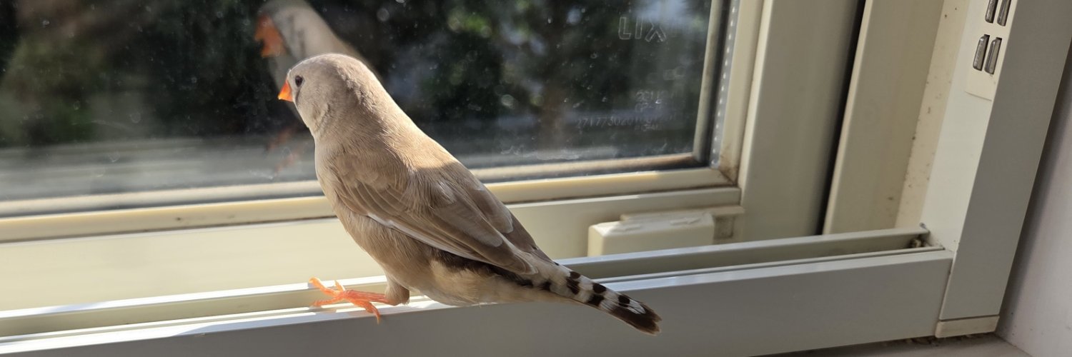 紗良🔞ヒナちゃん’sの飼育係🐦🐤🐣 banner
