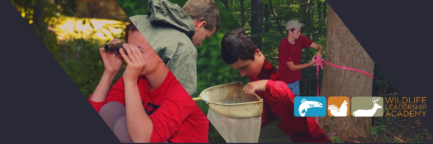 WLAambassadors's profile banner image