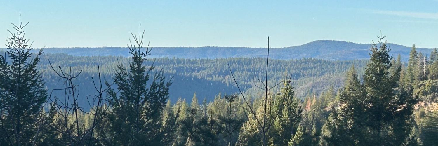 SusanKellyHomes's profile banner image