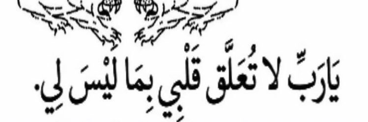 world princess banner