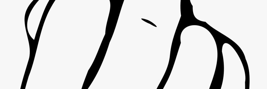 FerryDAVW's profile banner image