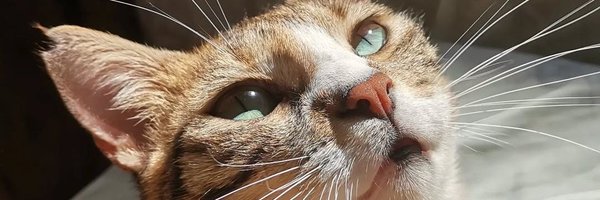 Ciofb1997 Profile Banner