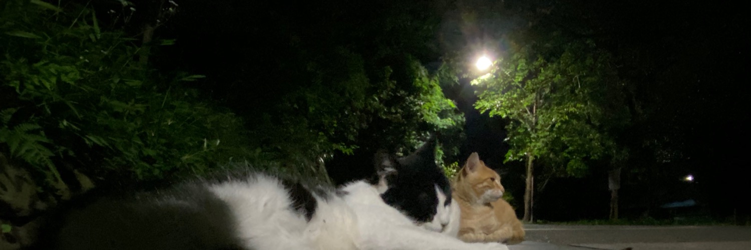 anyamlin's profile banner image