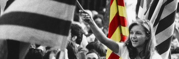 vexicat Profile Banner