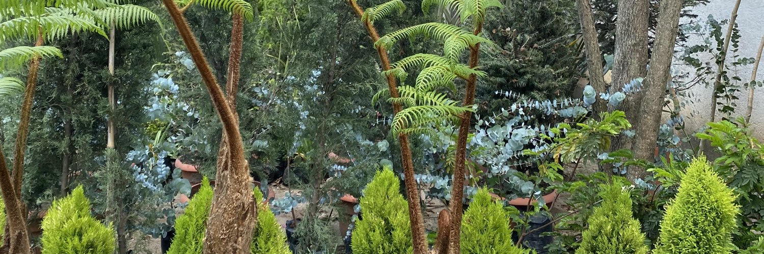 olbapale's profile banner image