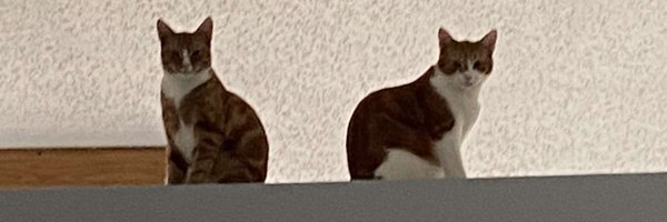 sylveeac Profile Banner