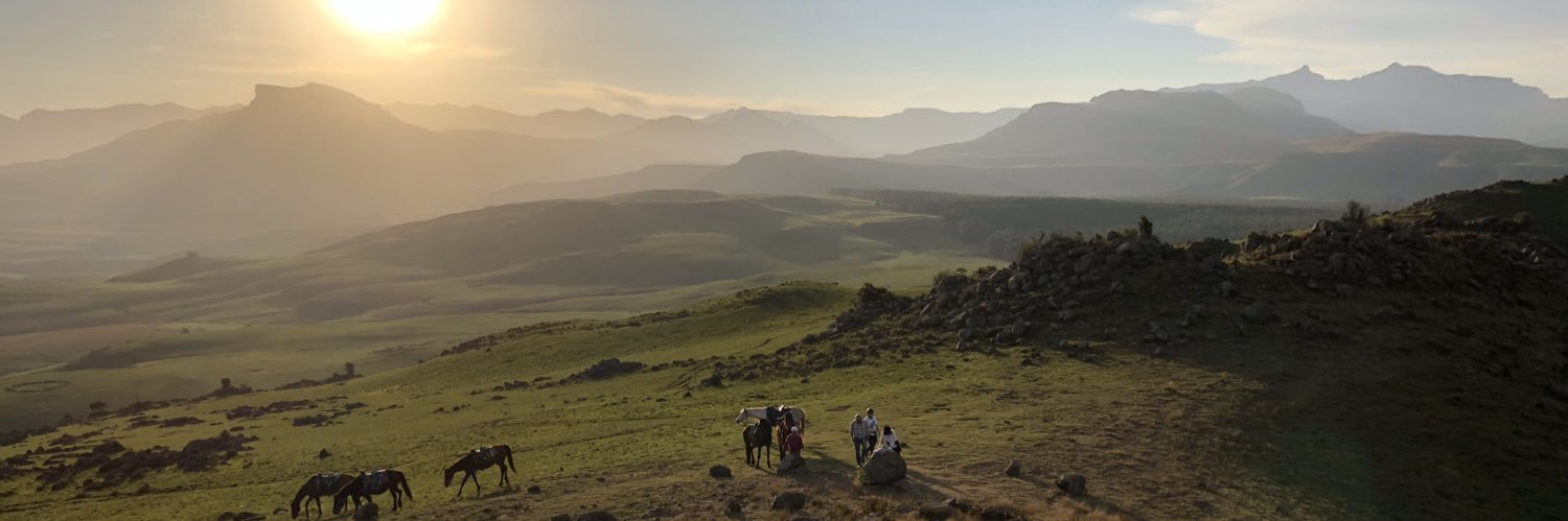 Michael Leviton banner