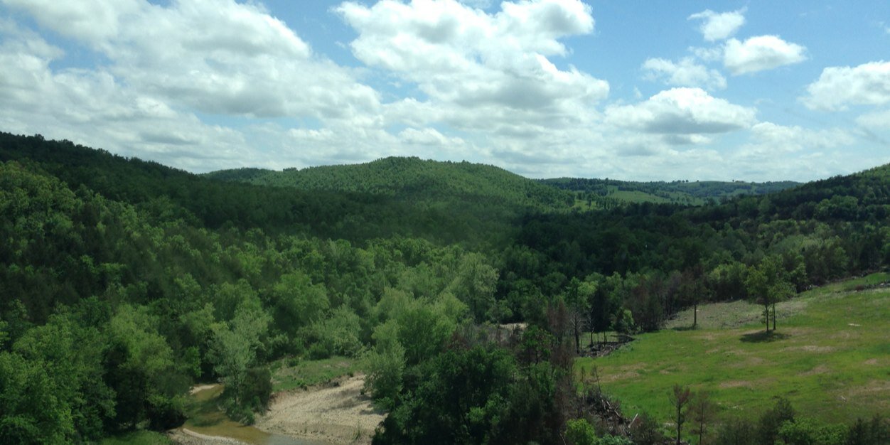 Brandee Conway banner