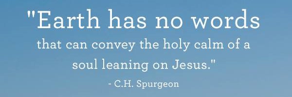 Tim Landstrom banner