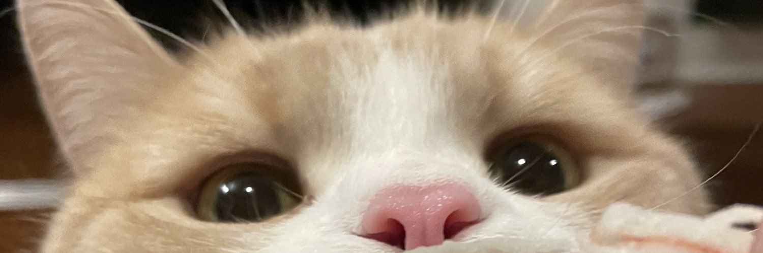 ayomott's profile banner image