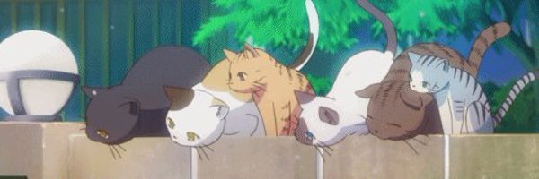 estripacs Profile Banner