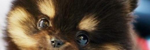 Kieranfarrell55's profile banner image