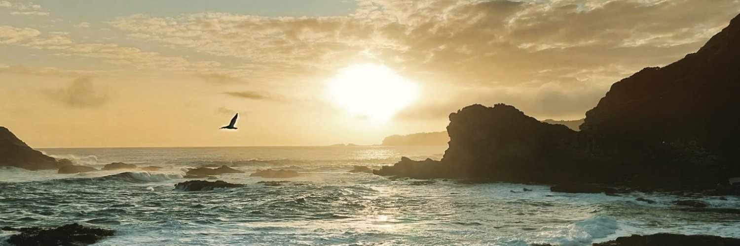 South_Alpha's profile banner image