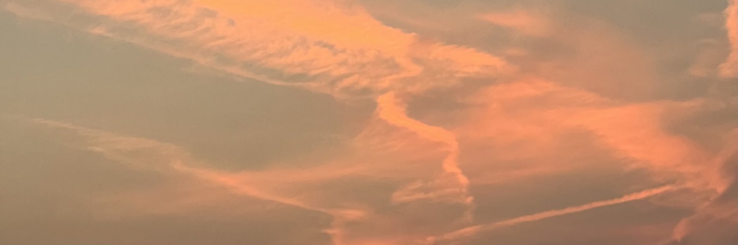 _desiredesiree's profile banner image