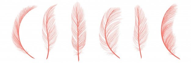 𝐸𝓂𝒷𝑒𝓇𝓇 banner