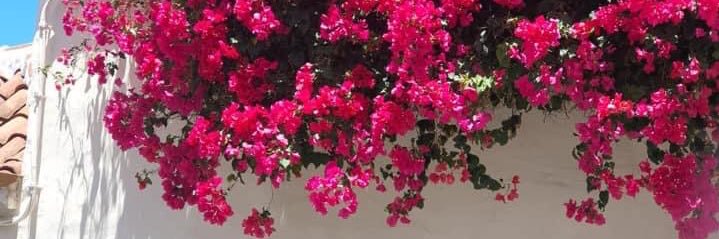 dreamofglitters's profile banner image