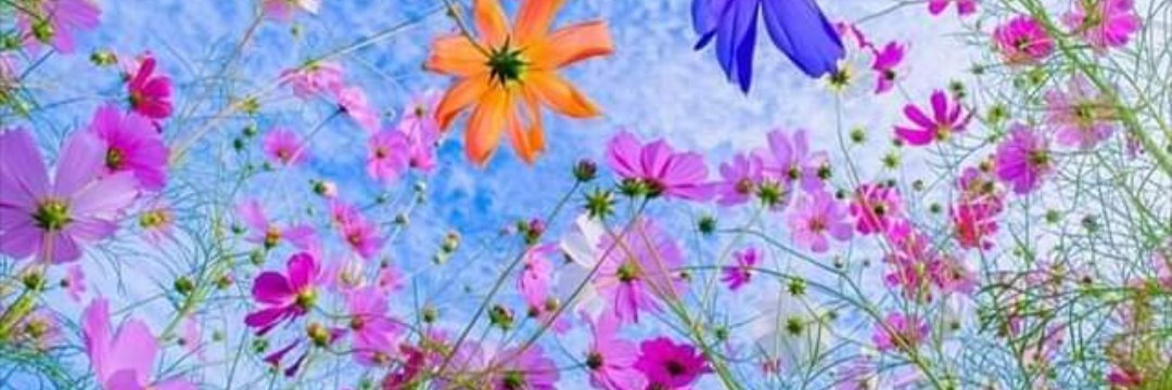 Kay_Dezz's profile banner image