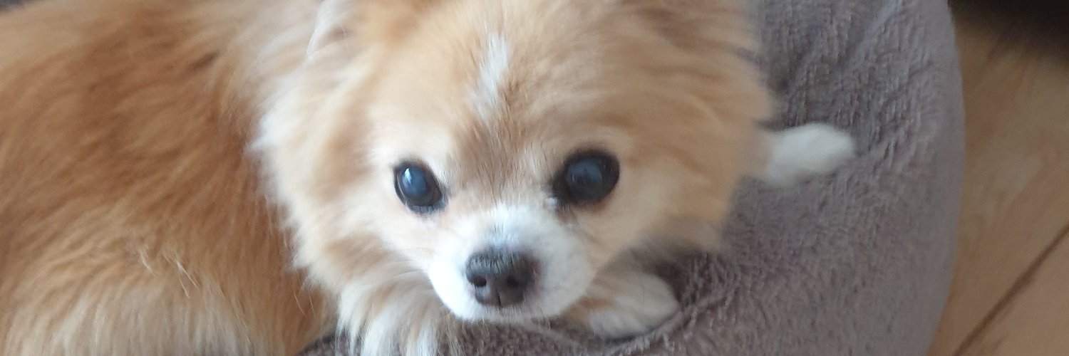 nippa1212's profile banner image