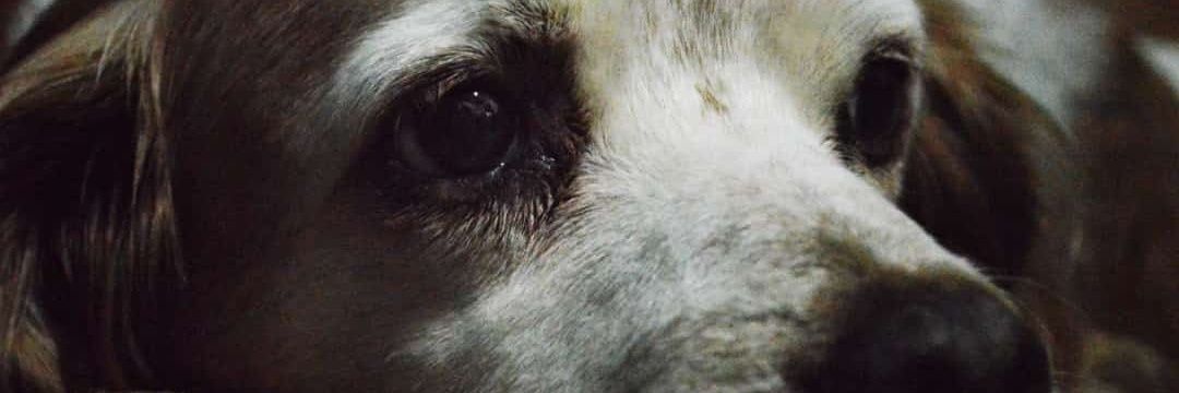 NasherFer's profile banner image