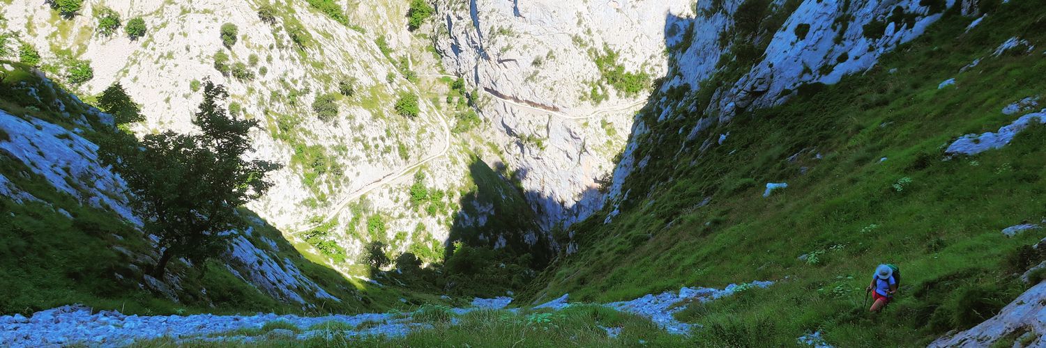 barbaraccangas's profile banner image