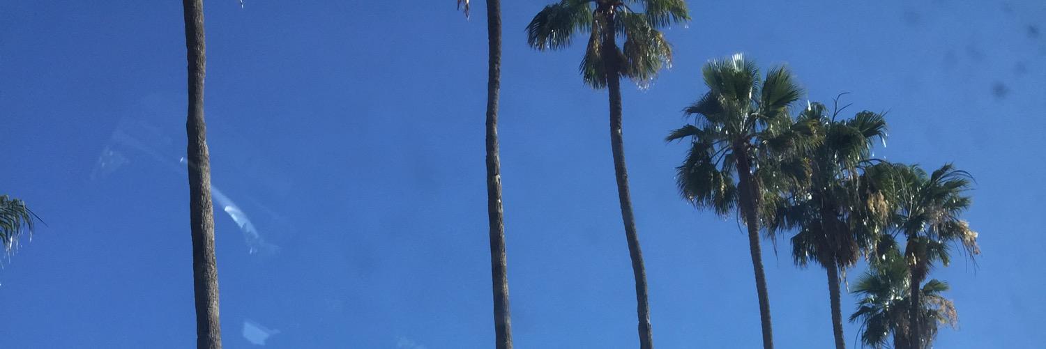 m__m___a___y's profile banner image