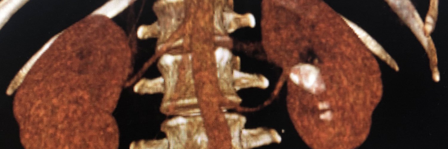 Matheus H L Pupulin banner