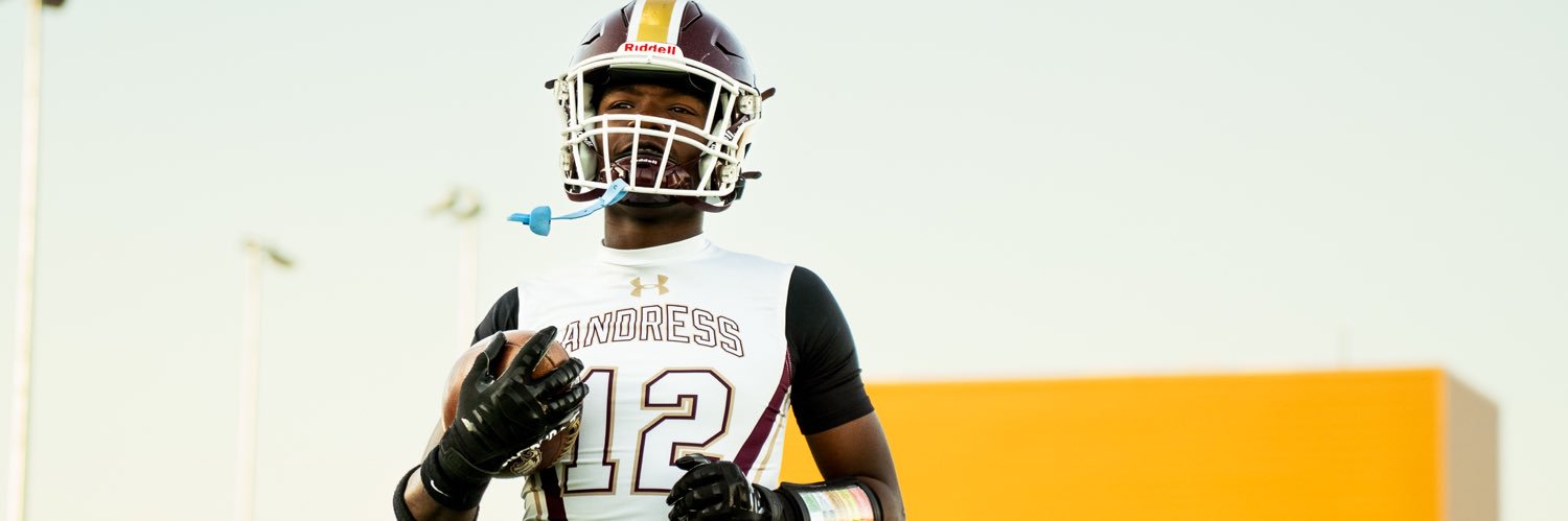 Mikeil Taylor banner