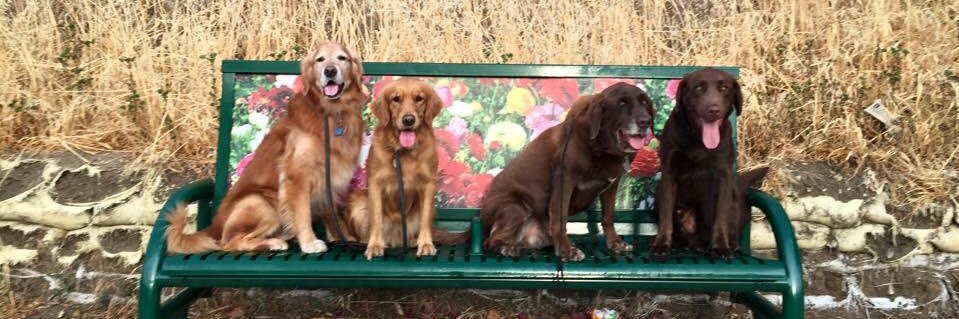 ATiredHappyDog's profile banner image