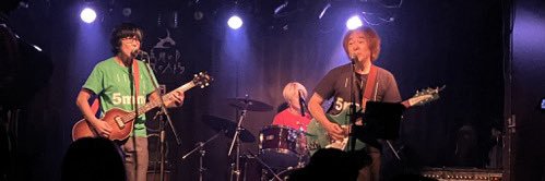 ねこっぱち(5mm/SHEEP) banner
