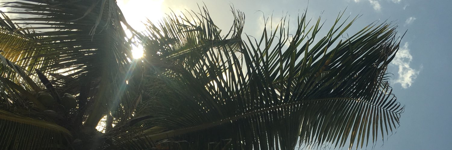 AdamGoodDeliman's profile banner image