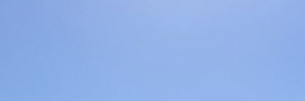 sofia gomez banner