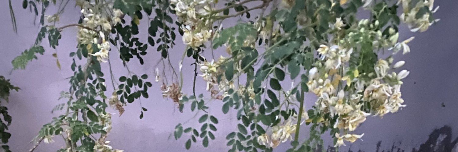 5lilver's profile banner image