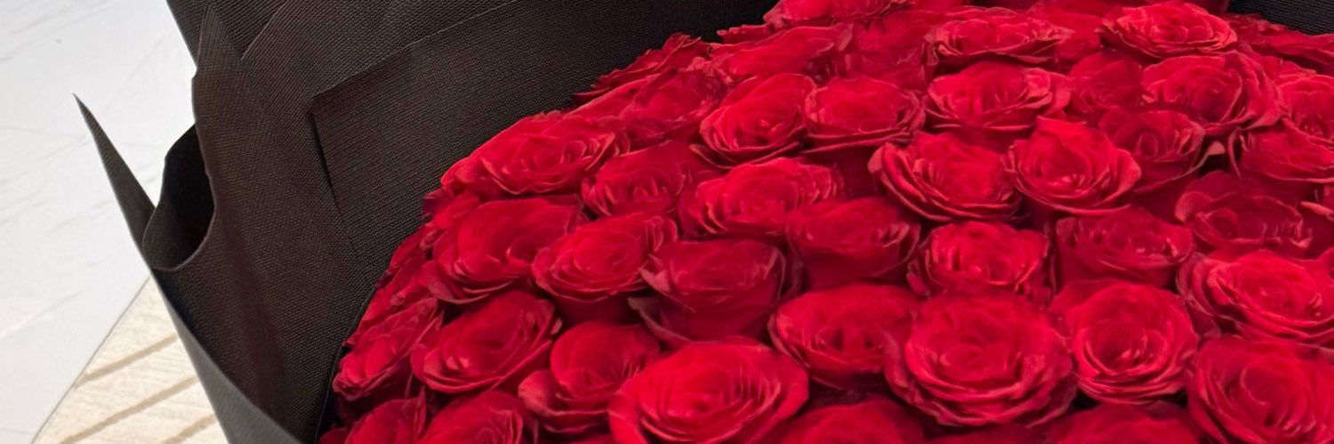urflowerknight's profile banner image