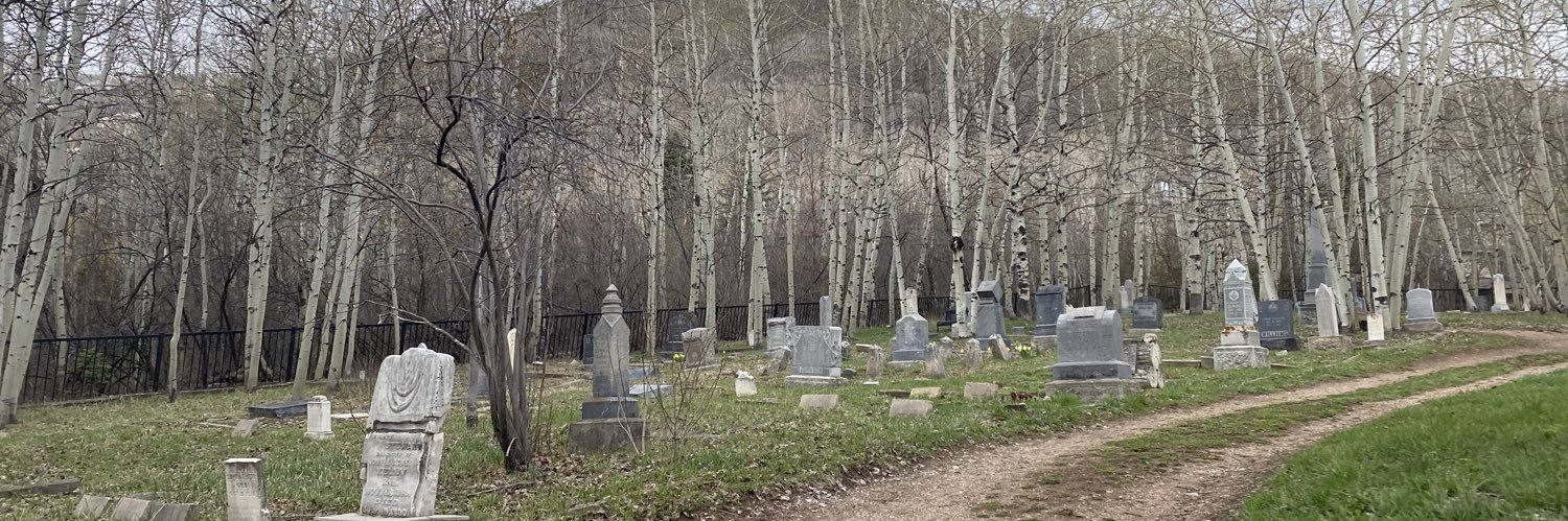 elasticheart666's profile banner image