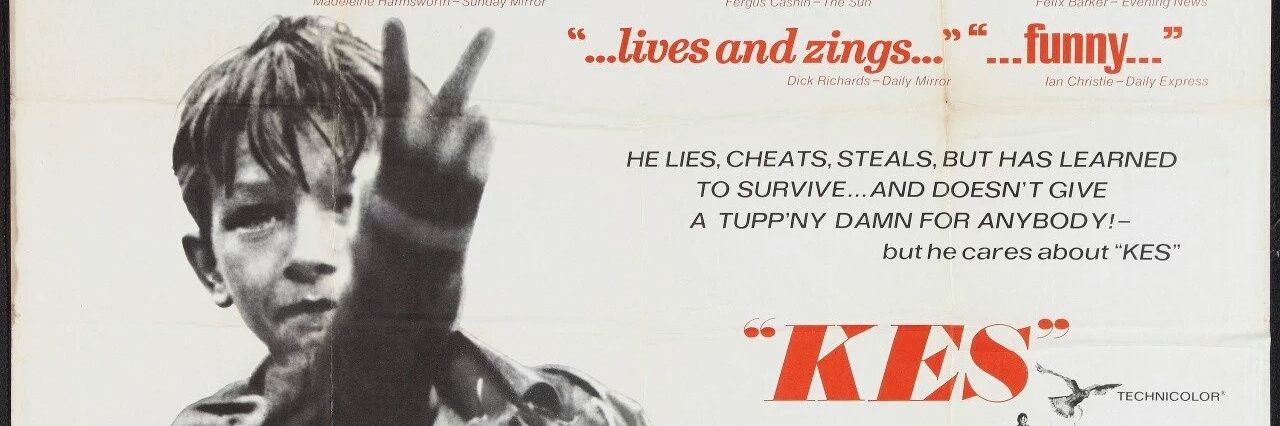 harrierman🇧🇼 banner