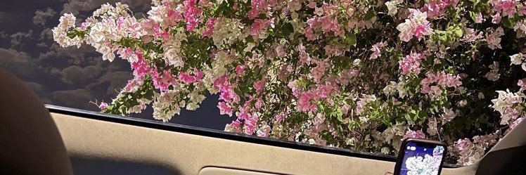 😌🪽 banner